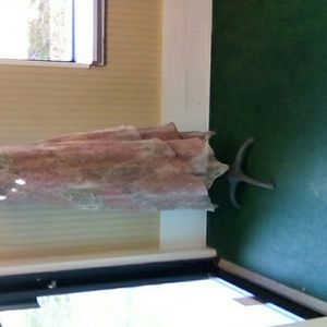 Ursula of switzerland Dress and Jacket